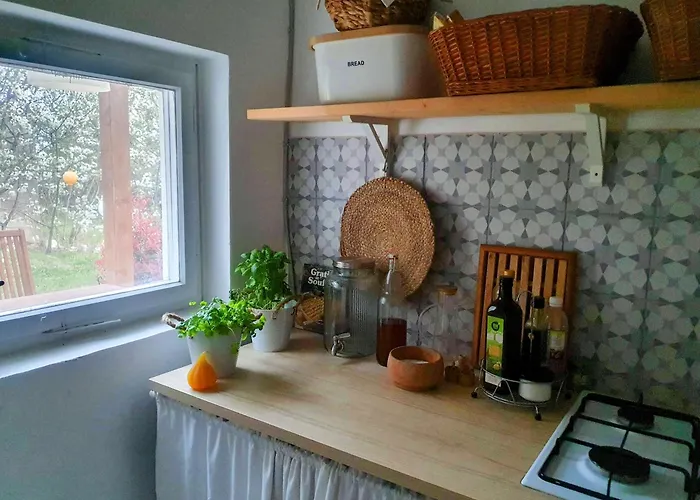 펜션 Porta Balvanyos